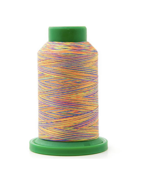 Fil à broder - Amann Group - ISACORD 40 Multicouleurs