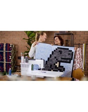 Machine à coudre Bernette b08 - Point droit - Garantie 5 ans