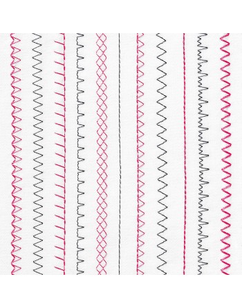 les points de couture de la machine à coudre elna sew zebra