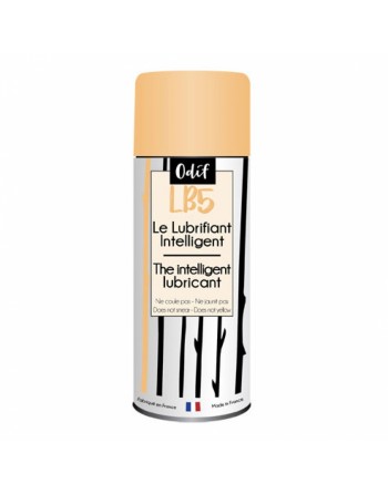 Bombe lubrifiant LB5G 50ml