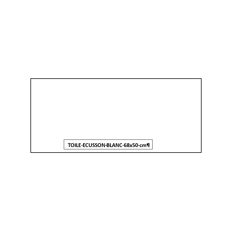 TOILE ECUSSON BLANC 68x50 cm