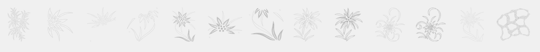 Les motifs projet de la bernina b735